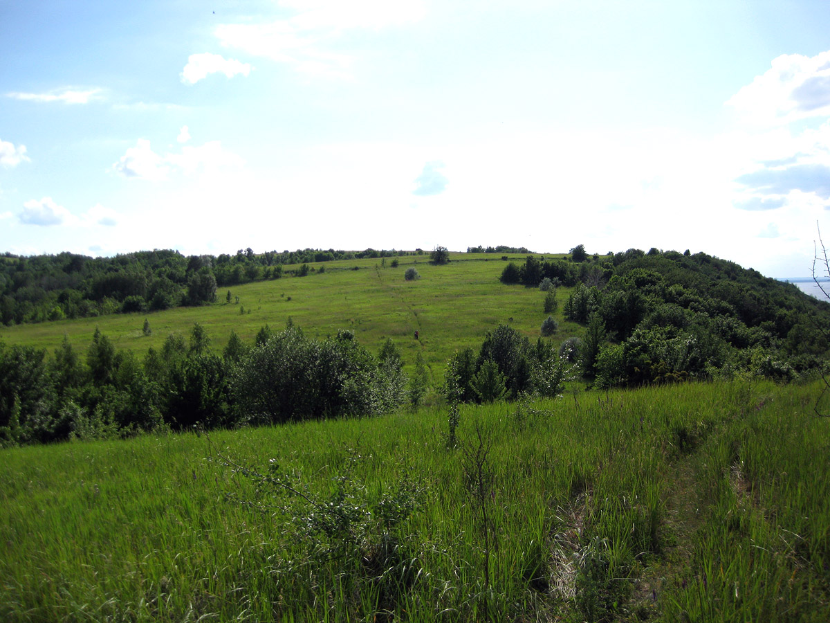 Трахтемиров, image of landscape/habitat.