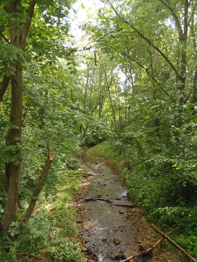 Санаторий Конвалия, image of landscape/habitat.