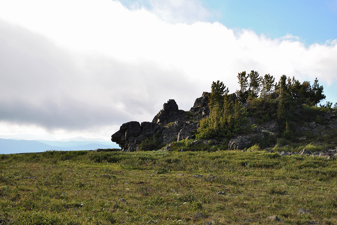 Семинский перевал, изображение ландшафта.