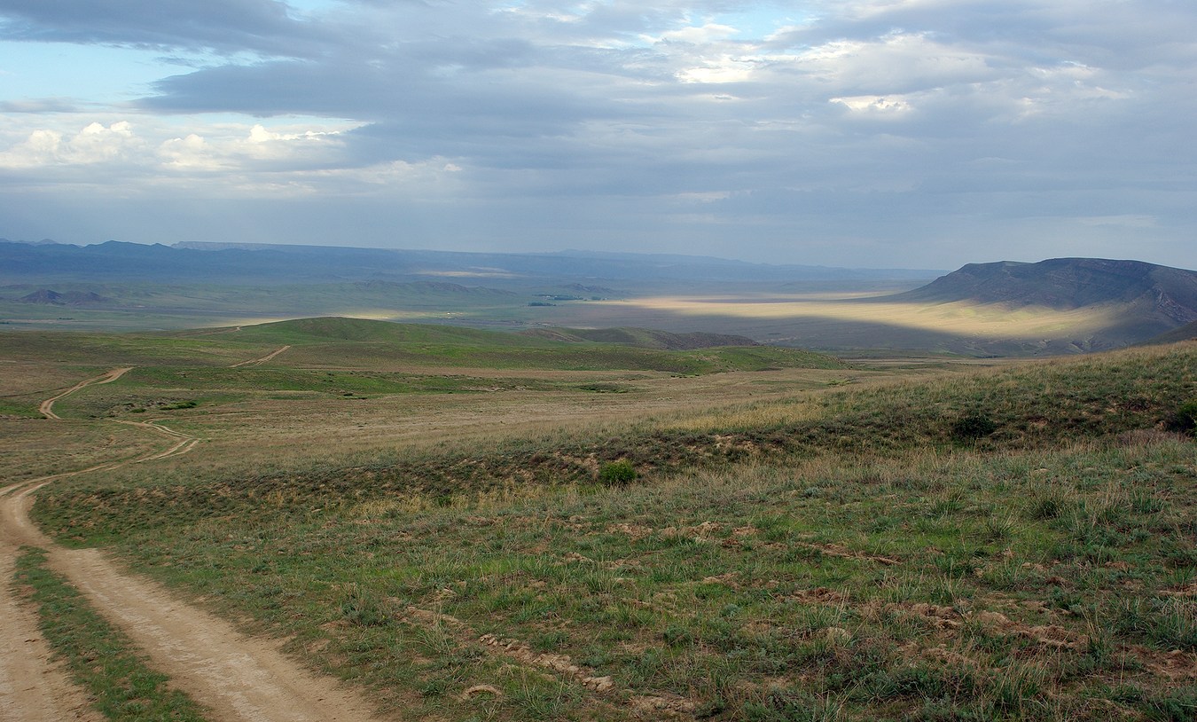 Бесарык, image of landscape/habitat.