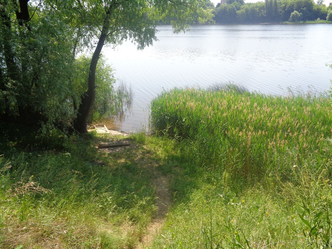 Вагоностроительный завод, image of landscape/habitat.