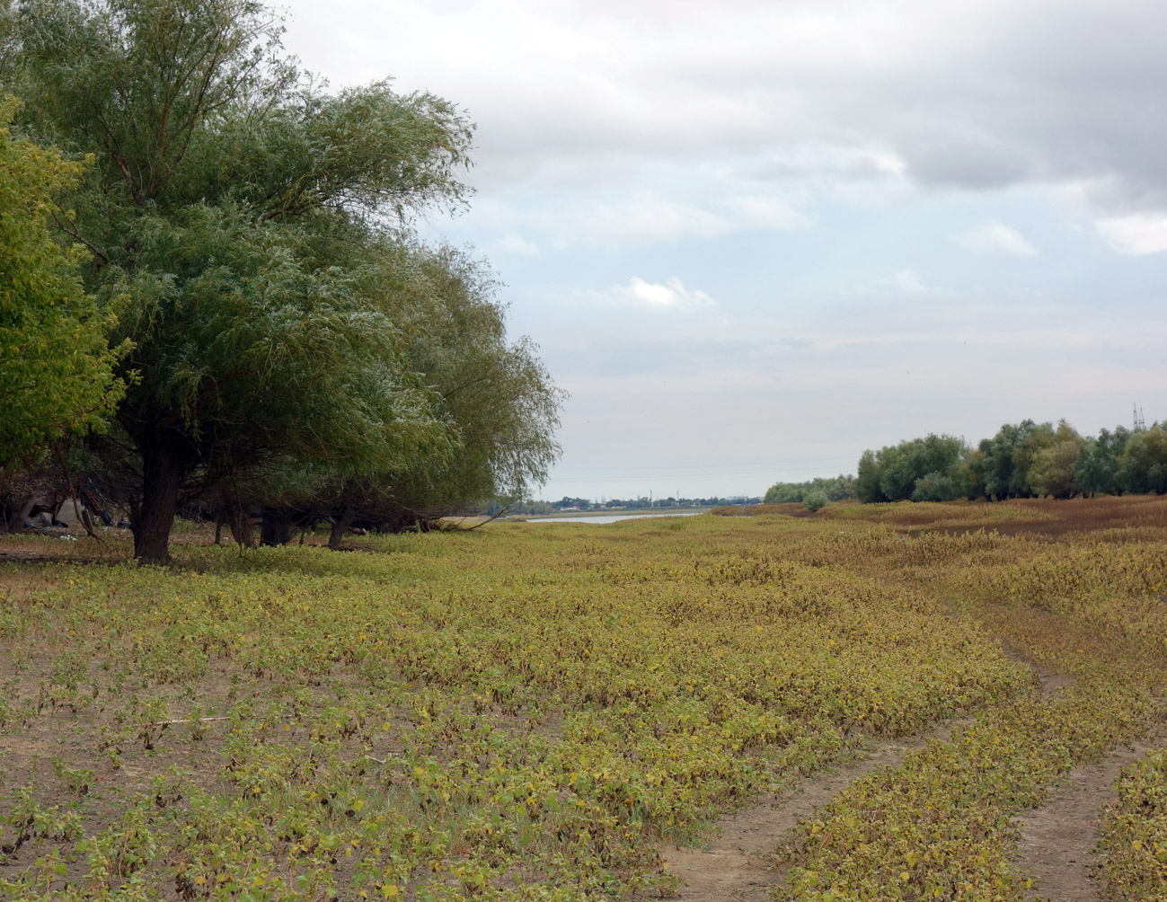 Досанг, image of landscape/habitat.