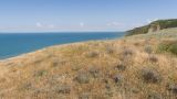 Image of landscape