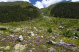 Image of landscape