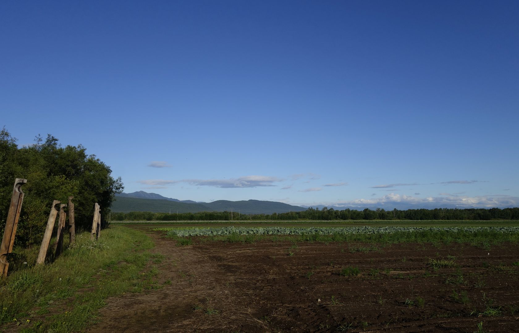 Мечта, image of landscape/habitat.