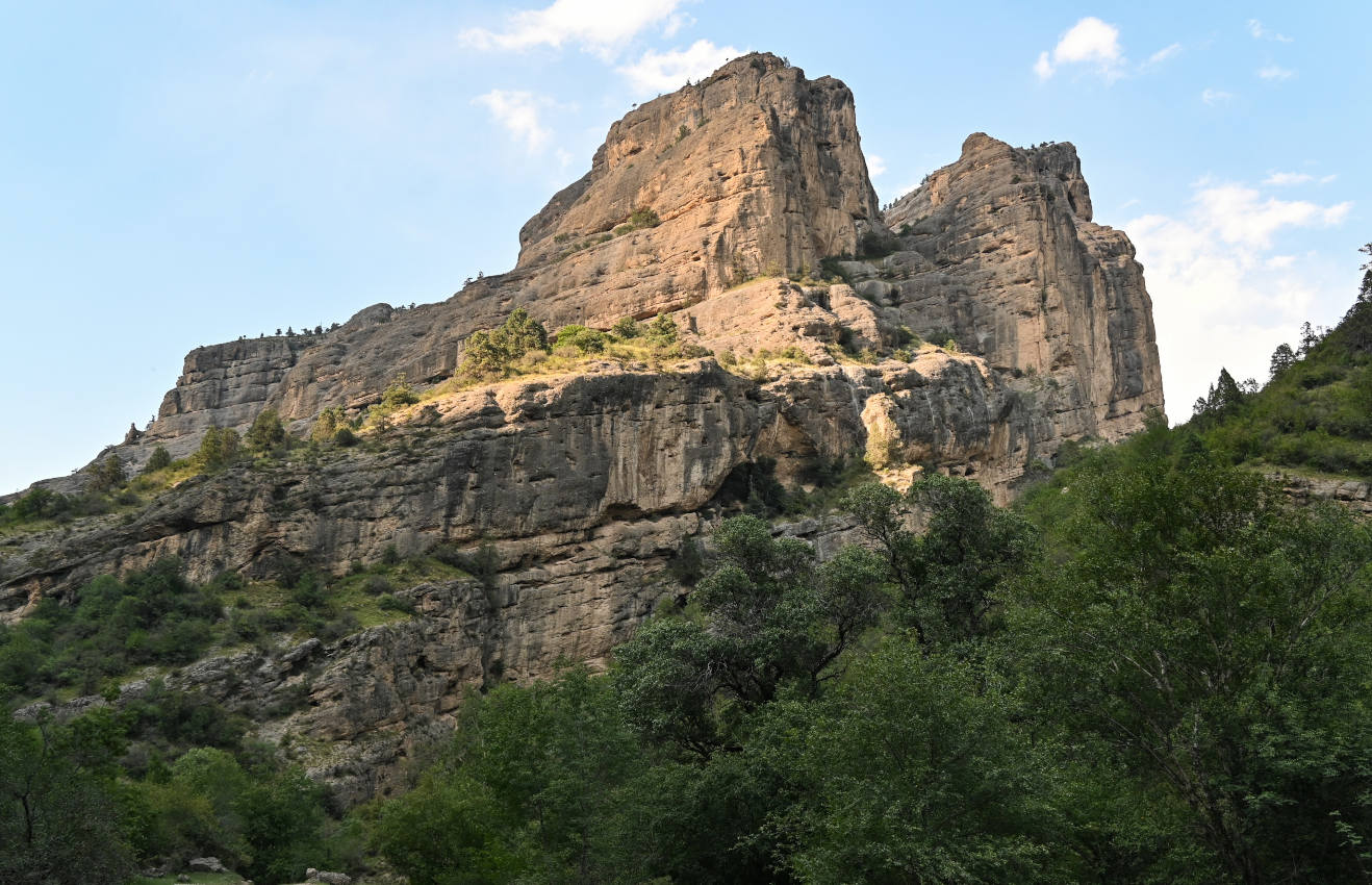 Долина реки Афлатун, image of landscape/habitat.