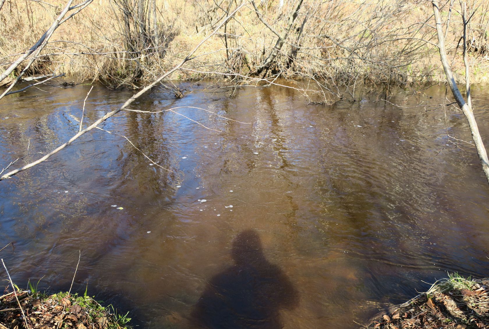 Омулёвый, image of landscape/habitat.
