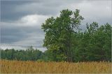 Image of landscape