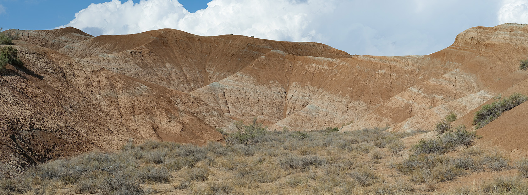 Долонтау, image of landscape/habitat.