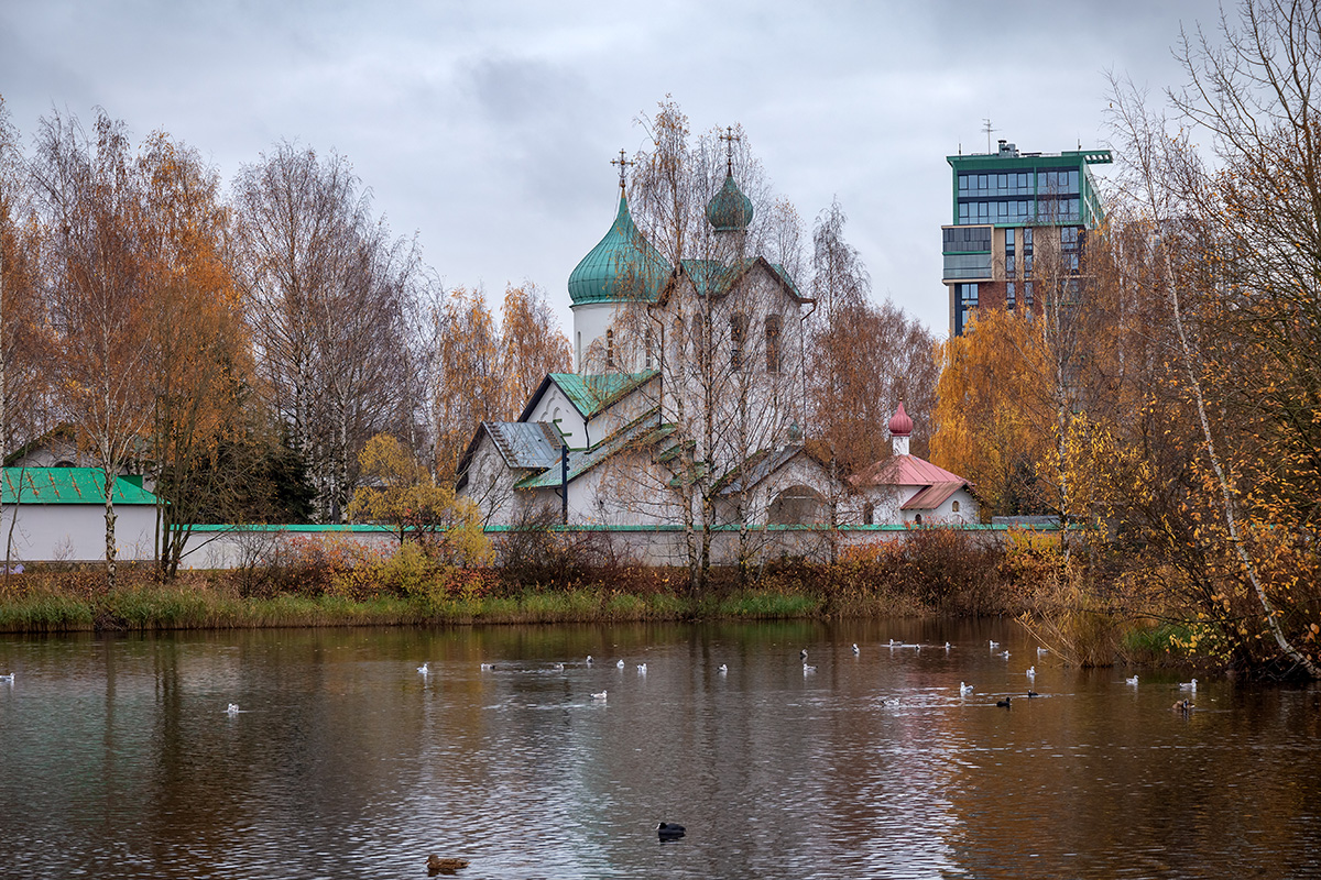 Московский район, image of landscape/habitat.