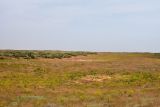 Бархан Большой Брат, image of landscape/habitat.