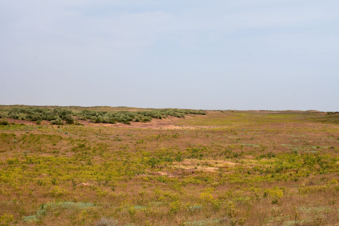 Бархан Большой Брат, image of landscape/habitat.