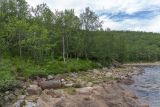Image of landscape