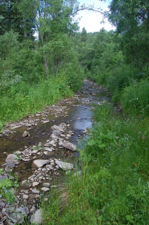 Река Солдатка, изображение ландшафта.