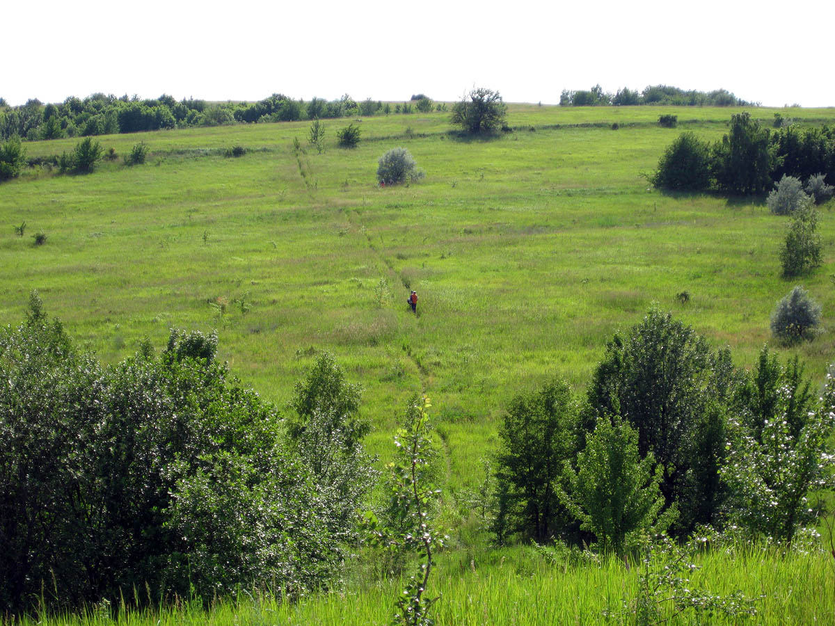 Трахтемиров, image of landscape/habitat.