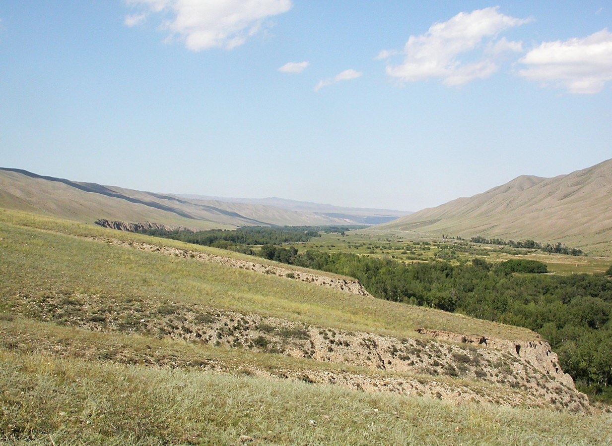 Верховья Шарына, image of landscape/habitat.