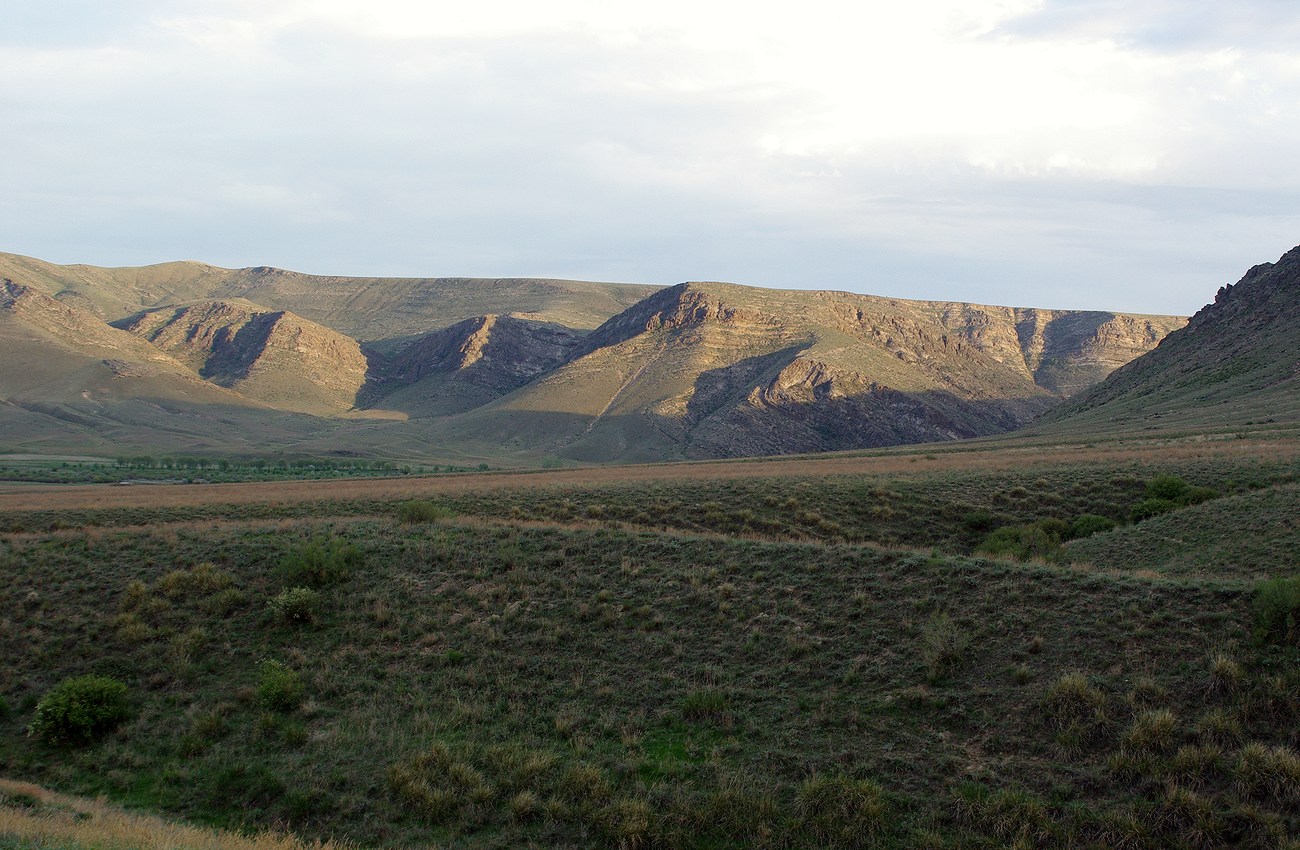 Бесарык, image of landscape/habitat.