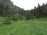 Окрестности села Хрюг, image of landscape/habitat.