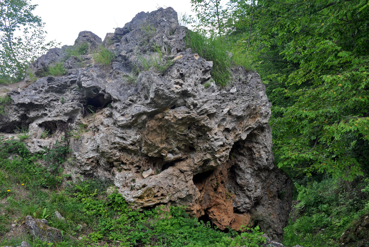 Ущелье реки Гостилье, image of landscape/habitat.