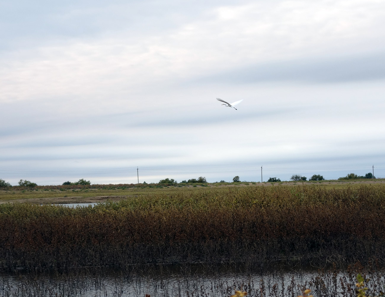 Досанг, image of landscape/habitat.