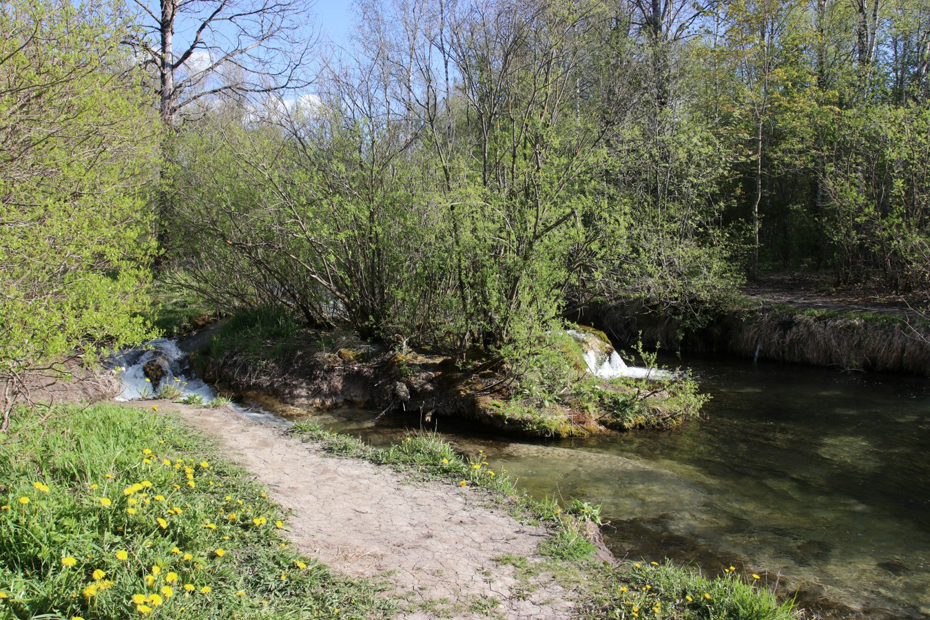 Истоки Шингарки, image of landscape/habitat.