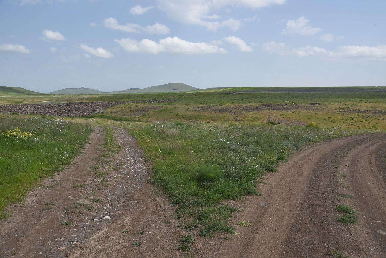 Овраг Хачидзор, image of landscape/habitat.