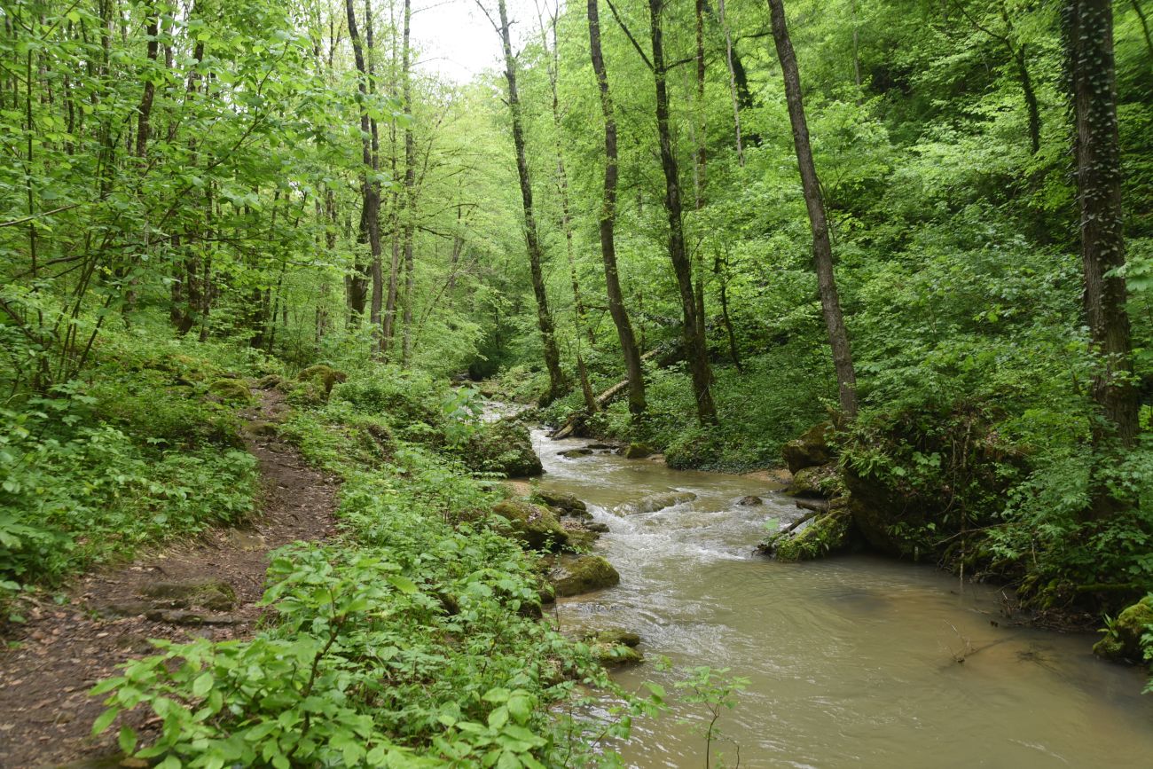 Долина реки Мишоко, image of landscape/habitat.