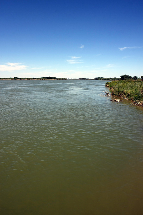 Правобережье Сыр-Дарьи, image of landscape/habitat.