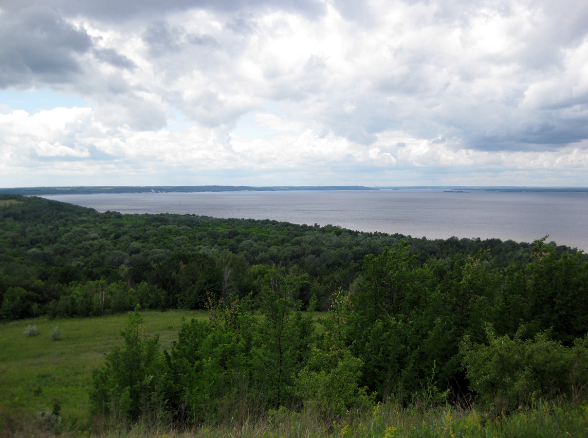 Трахтемиров, image of landscape/habitat.