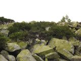 Image of landscape