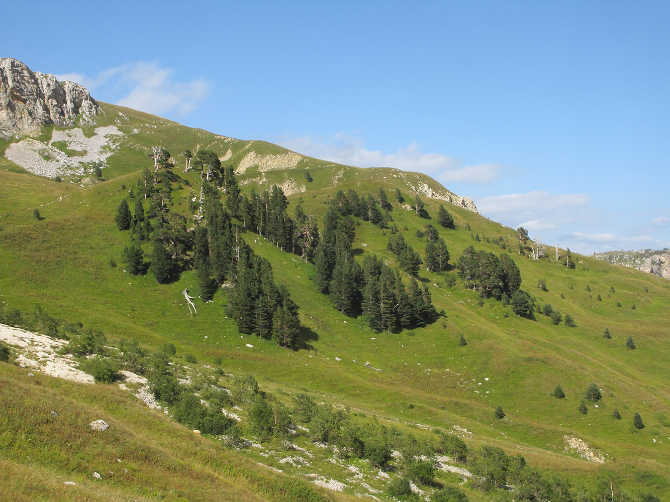 Узуруб, image of landscape/habitat.