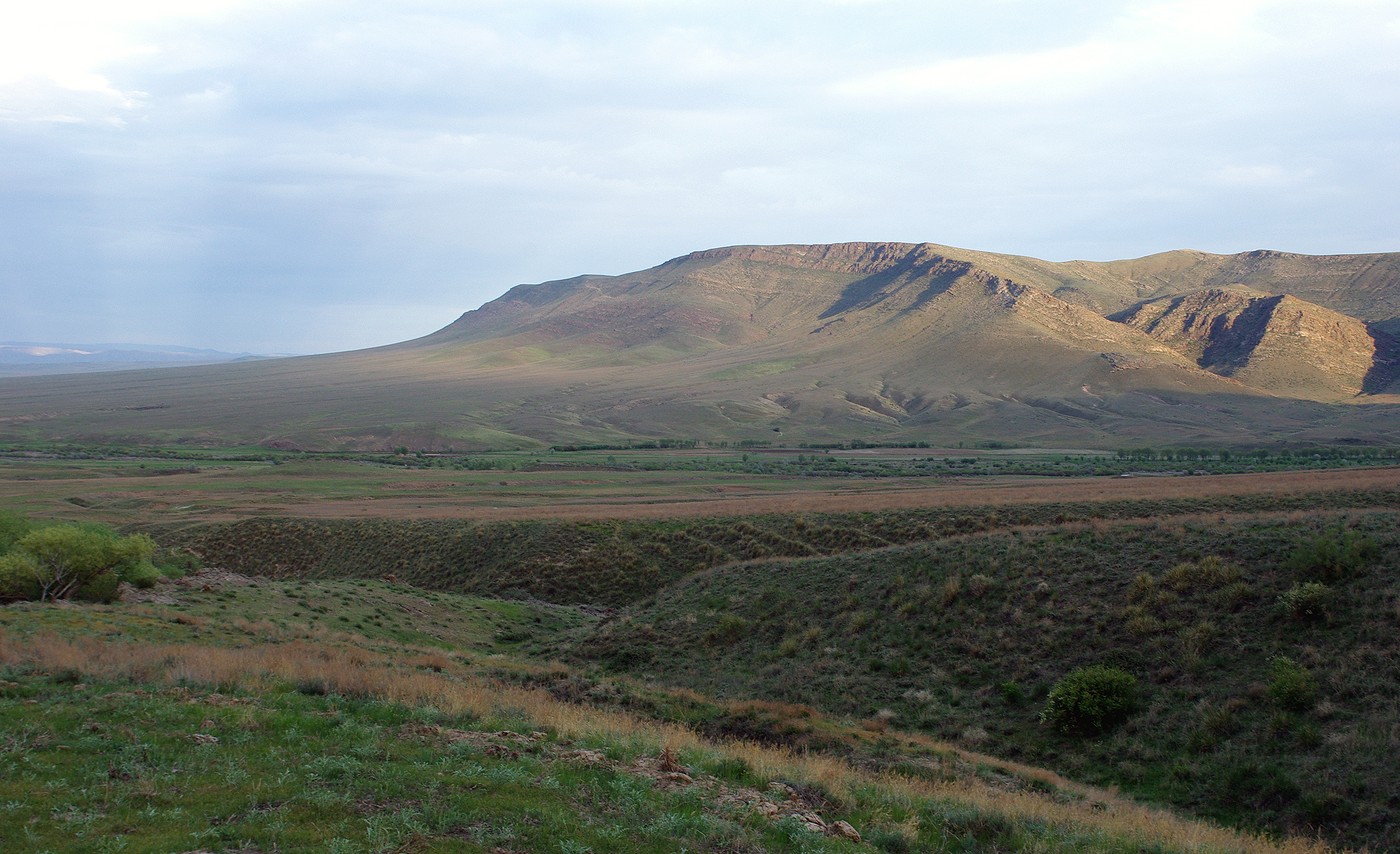 Бесарык, image of landscape/habitat.