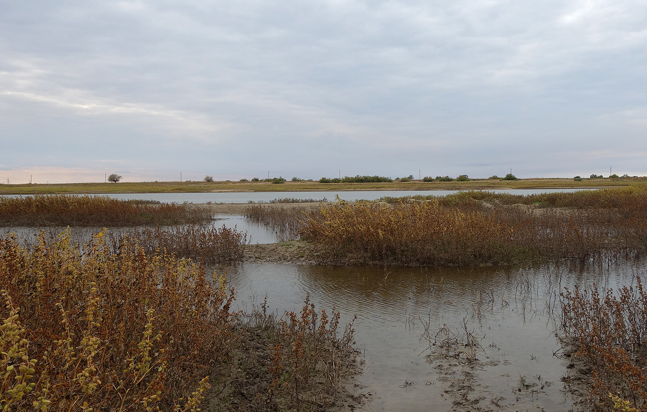 Досанг, image of landscape/habitat.