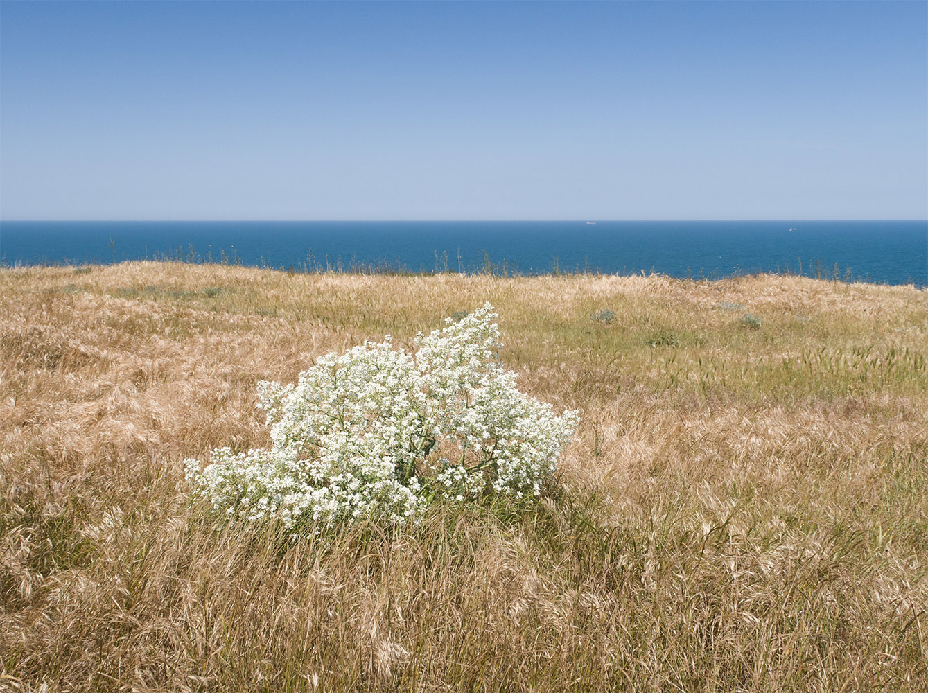 Окрестности Осовин, image of landscape/habitat.