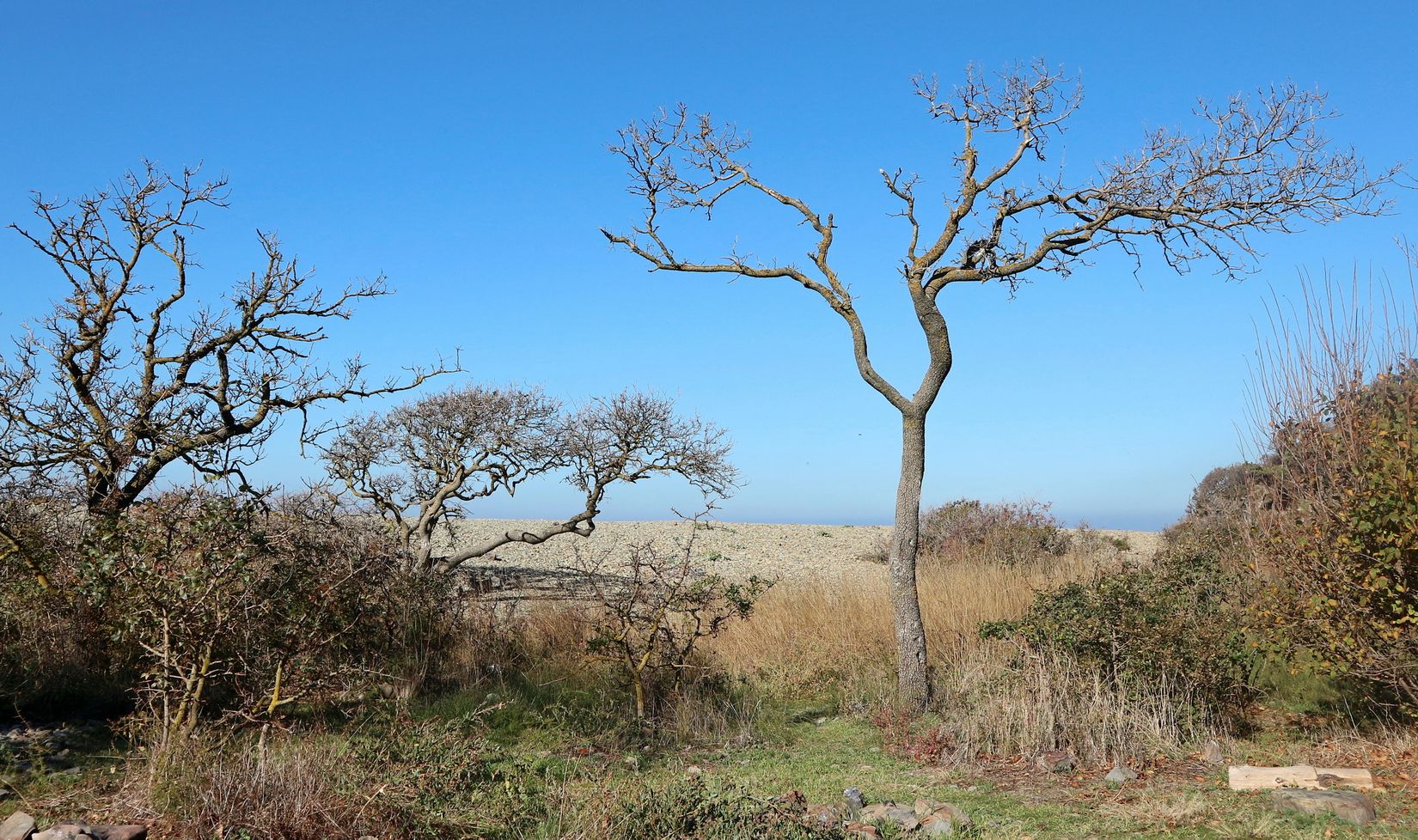 Мыс Большой Утриш, image of landscape/habitat.