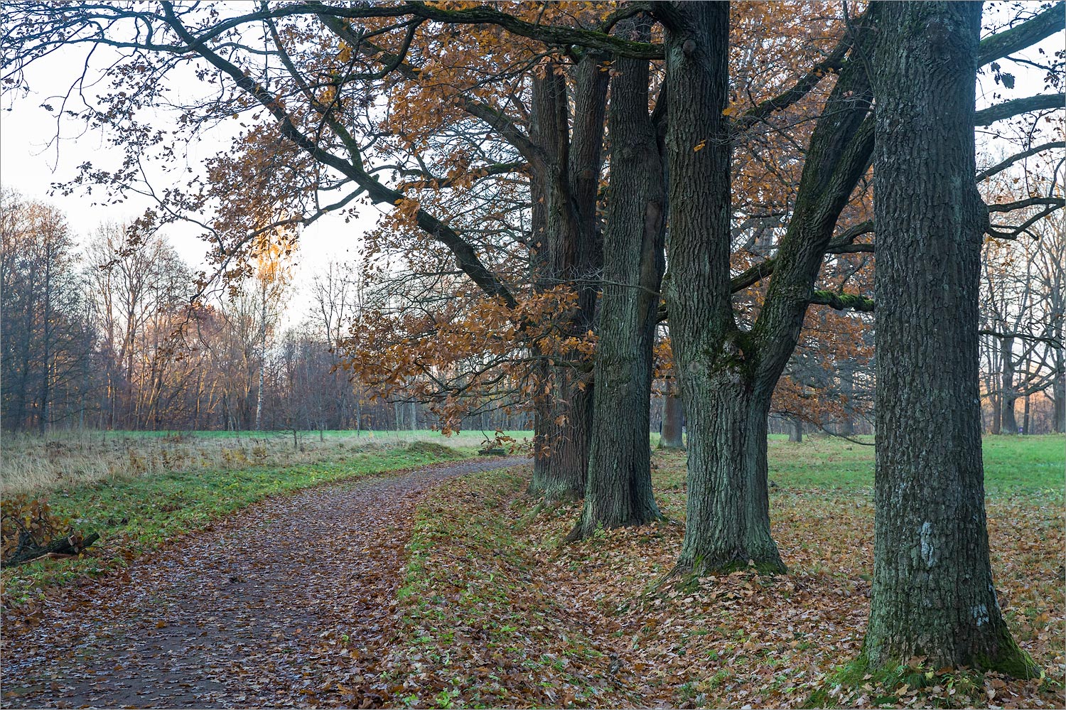 Ораниенбаум, изображение ландшафта.