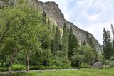 Долина реки Афлатун, image of landscape/habitat.