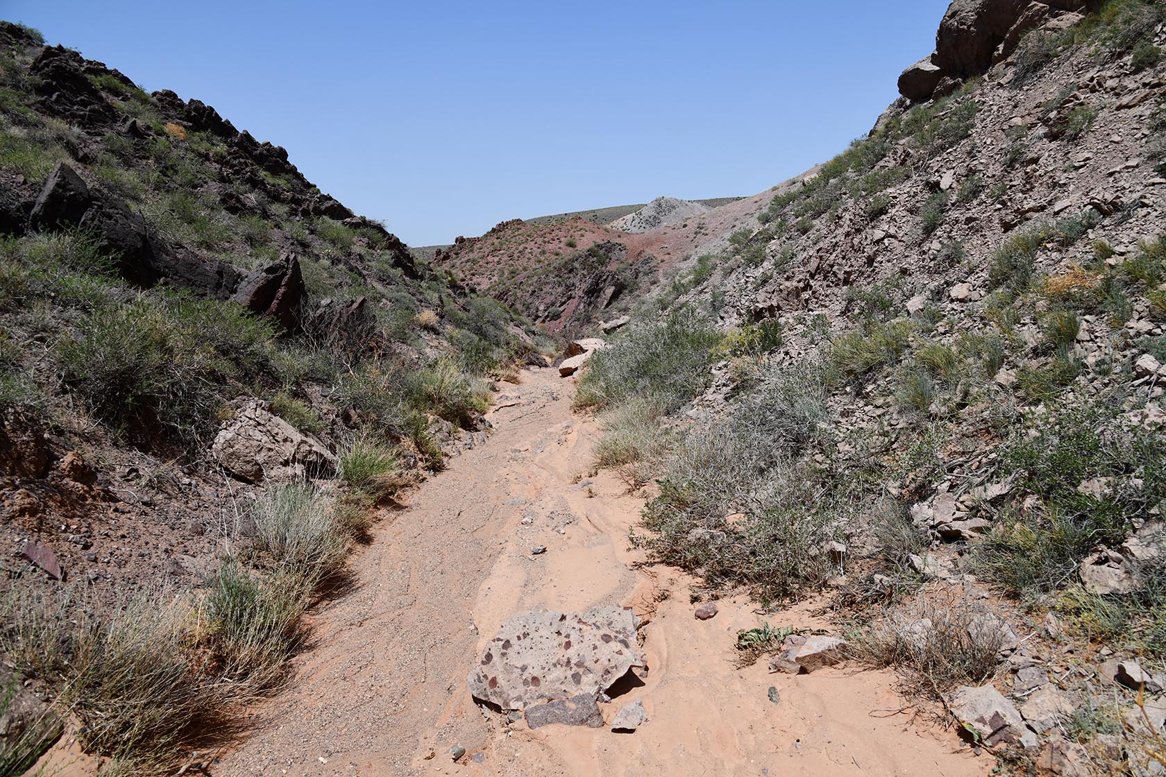 Бала-Богуты, image of landscape/habitat.