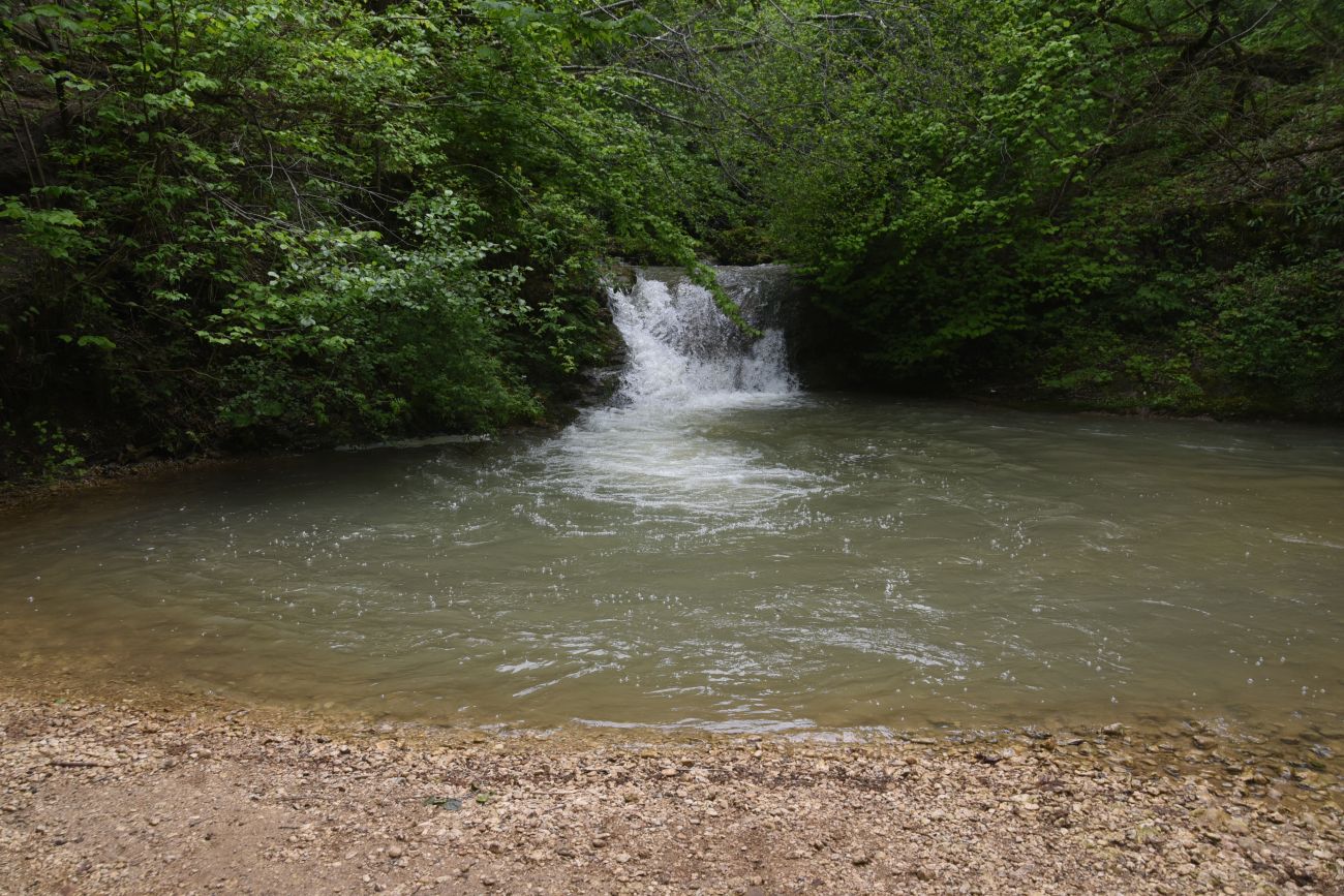 Долина реки Мишоко, image of landscape/habitat.
