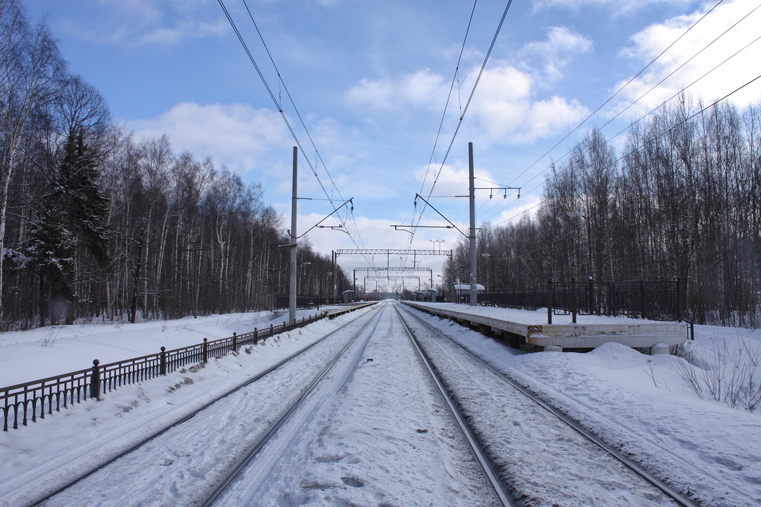 Платформа "Университет", image of landscape/habitat.