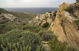 Image of landscape