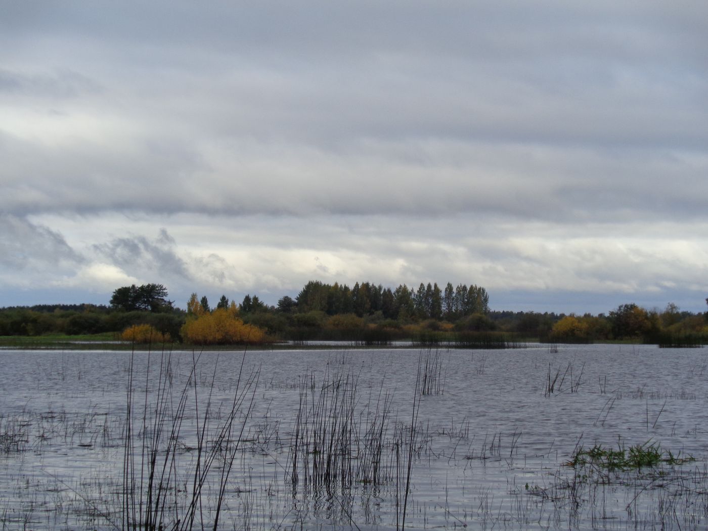 Остров Кирики, image of landscape/habitat.