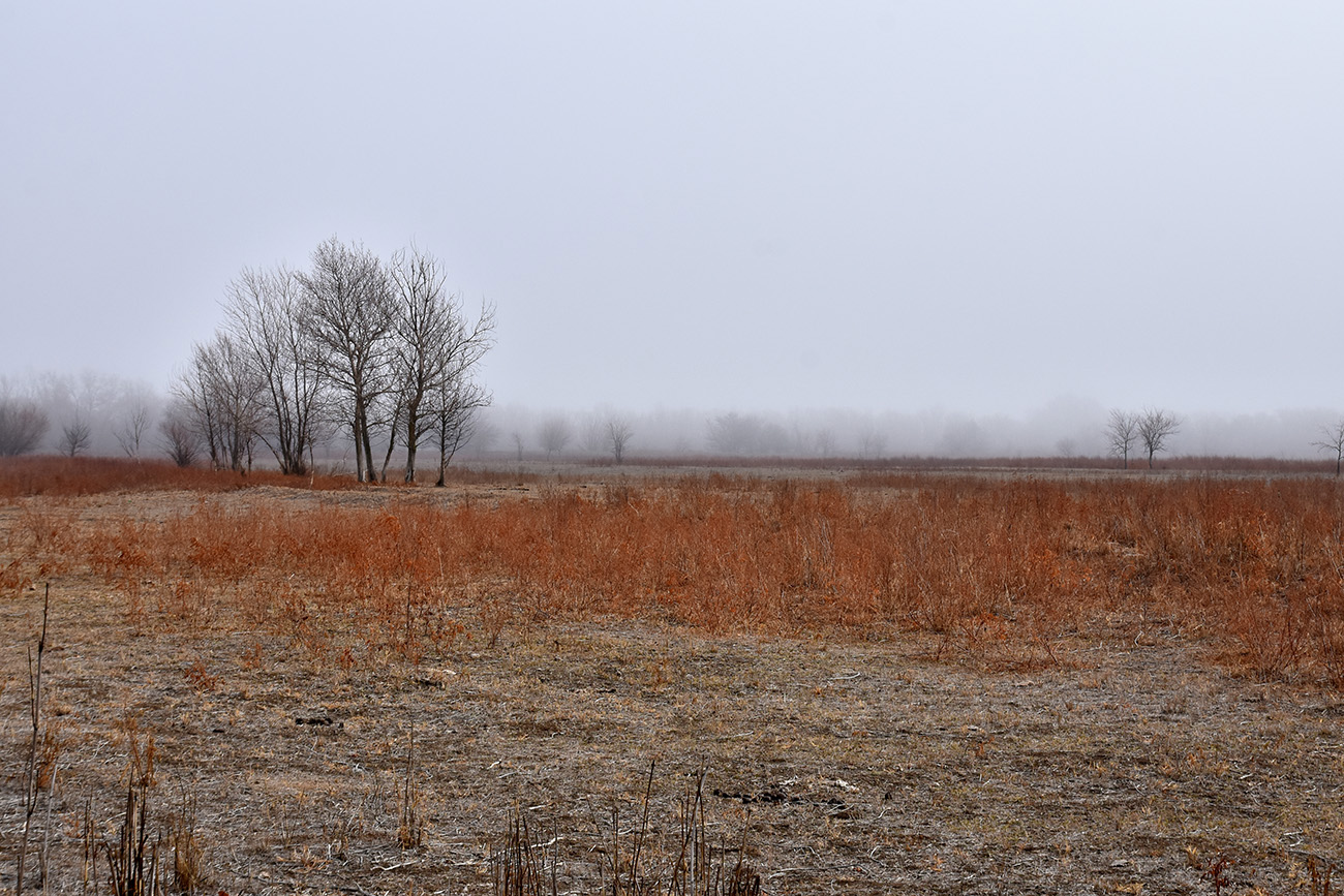 Вершина дельты Волги, image of landscape/habitat.