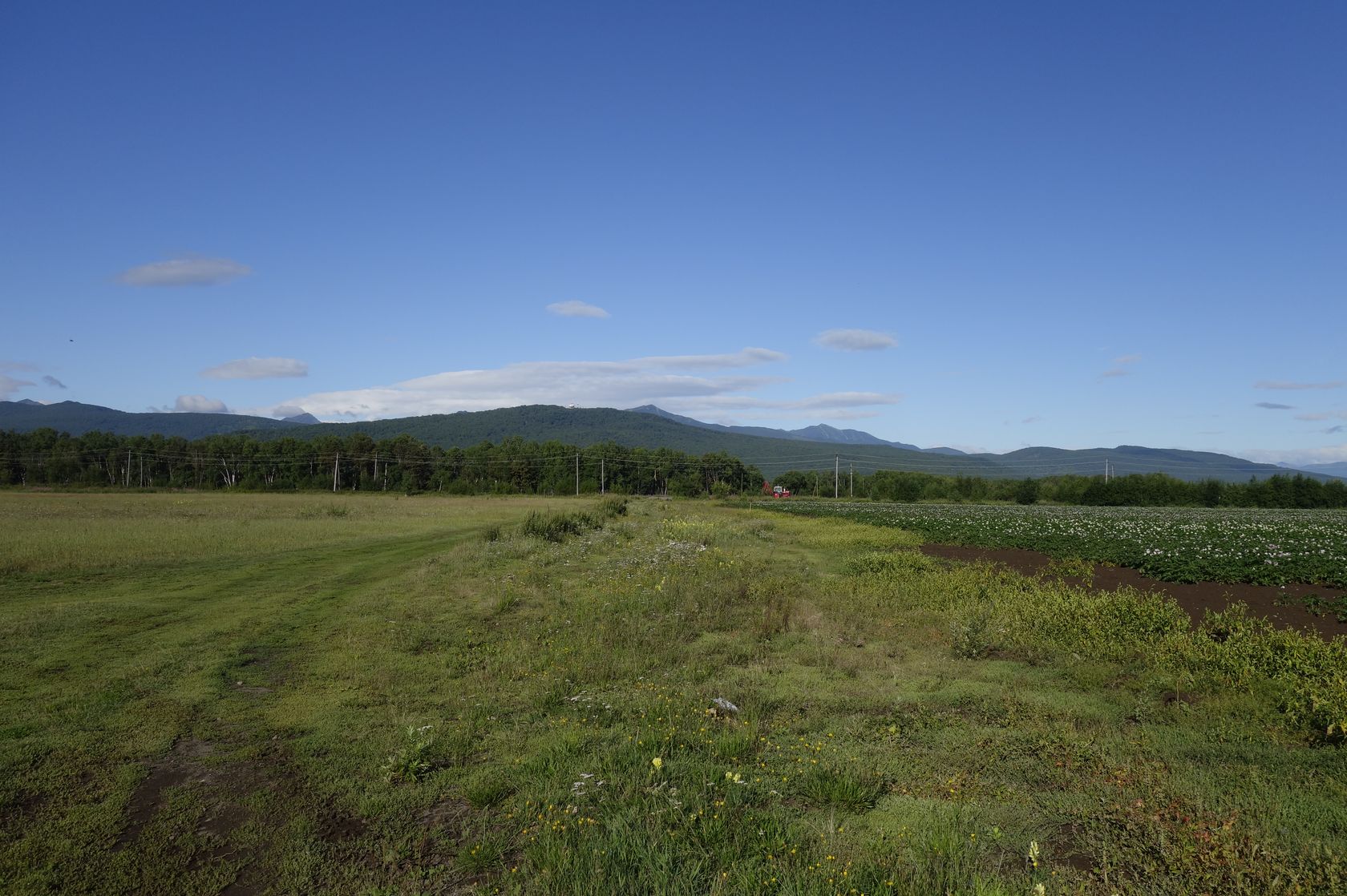 Мечта, image of landscape/habitat.