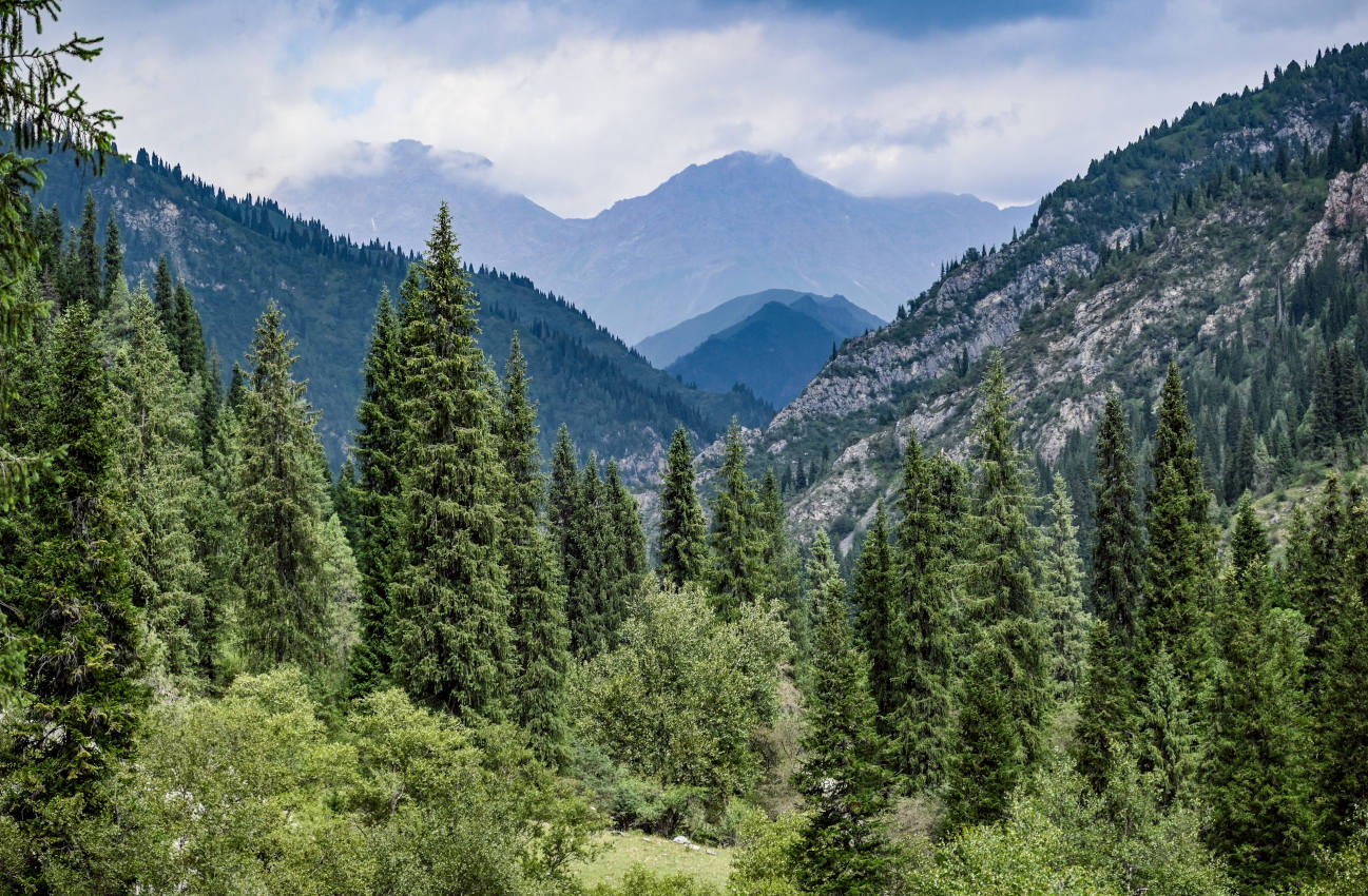 Долина реки Афлатун, image of landscape/habitat.