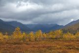 Долина Малого Вудъявра, image of landscape/habitat.