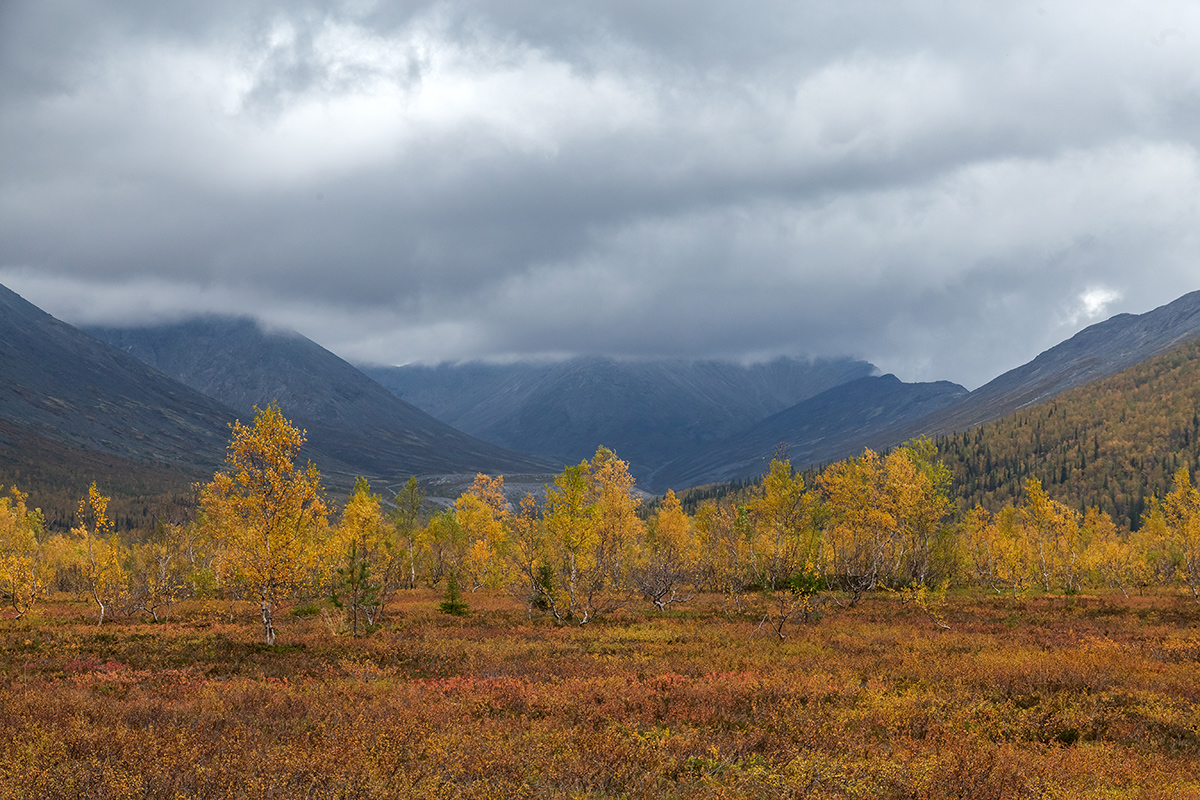 Долина Малого Вудъявра, image of landscape/habitat.