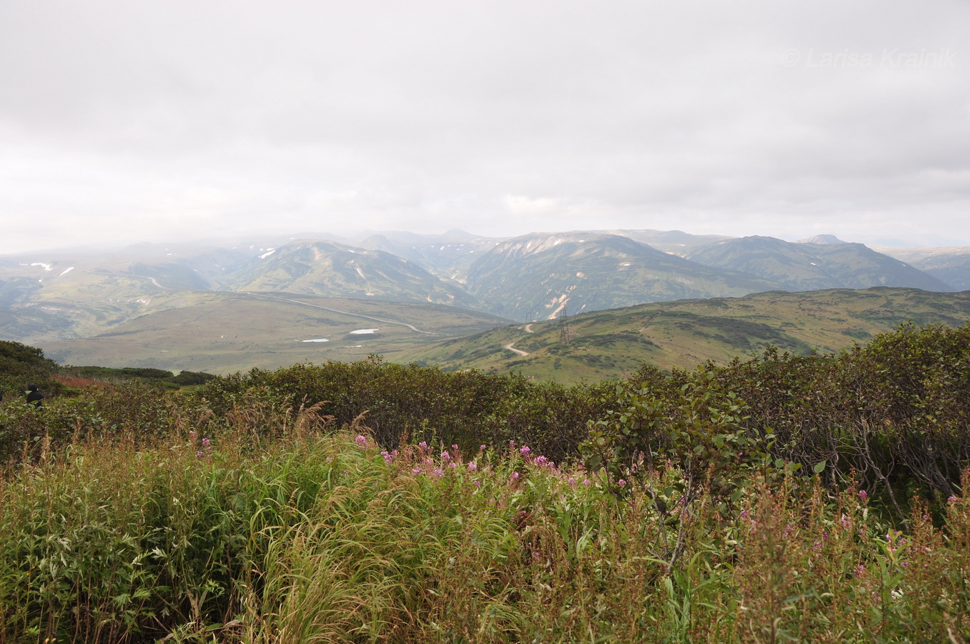 Вилючинский перевал, image of landscape/habitat.
