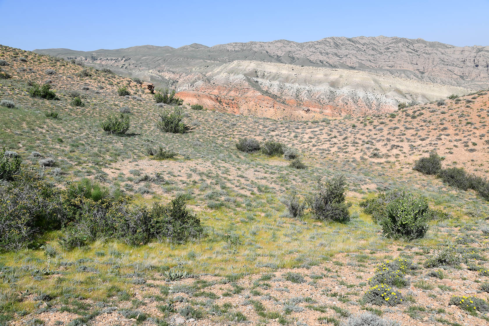 Гальчабаши, image of landscape/habitat.