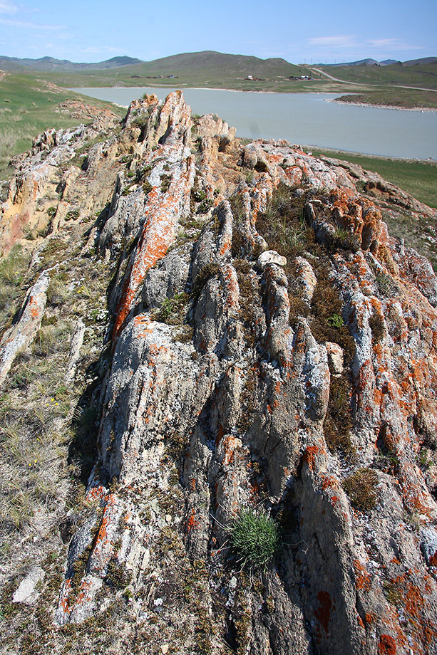 Озеро Холбо-Нур, image of landscape/habitat.